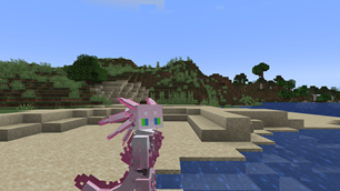 Minecraft Screenshot 2026.04.20 - 17.15.39.28.png