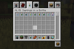 sapling in a bottle