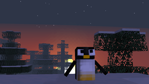 Pictures of a penguin