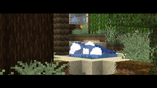 A Cozy Atmosphere