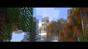 Immersive Visuals