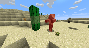 Husk is pricked by the Cactus Ball