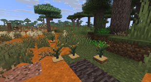 Wild_Veggies.png
