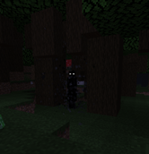 Screenshot (34)(1).png