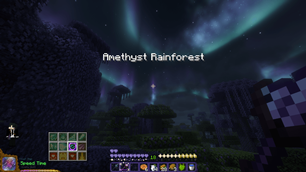 Entering Amethyst Rainforest.png
