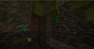 CAVE