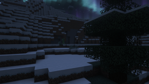 In The Snow.png
