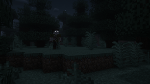 In The Forest.png
