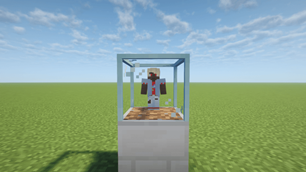 Villager placed inside a EV block