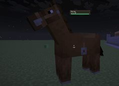Summoned Horse