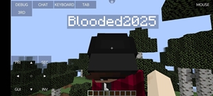 Minecraft Multiplayer With Friends (If your friend has cracked, he has to create the server)