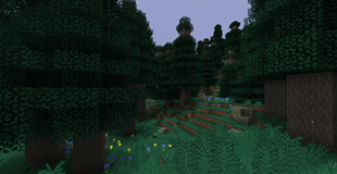 1000022482.png