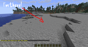 Showing Invisibility
