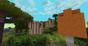 Mushrooms Boi!