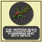 The Hopper
