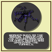 The Worker