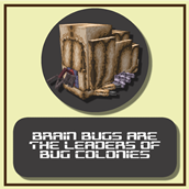 Brain Bugs