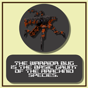 The Warrior