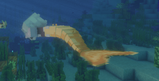 h20 Tail