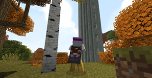 No shaders