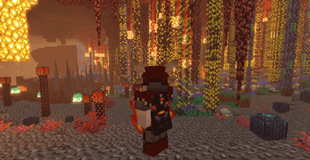 nether