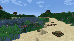 Volcano