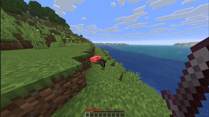 pig.png