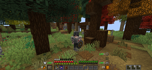 In-game screenshot