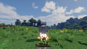 Survival on murim