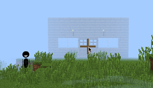 my house