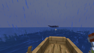 Whale