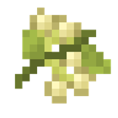 lindenblÃ¼te.png