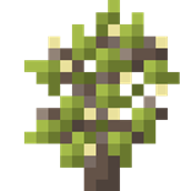 linden_sapling.png