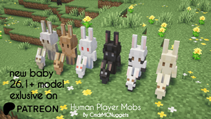 Human Player Mobs Rabbit