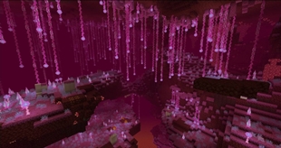 Nether (1).jpeg