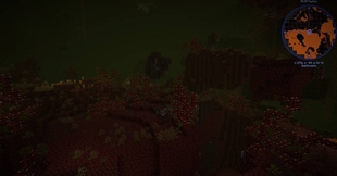 Nether (3).jpeg