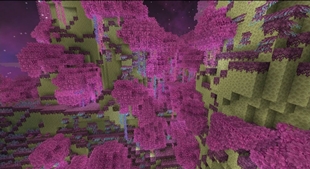 The End (5).jpeg
