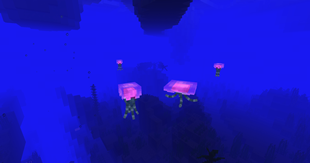2026-05-05_20.05.52.png