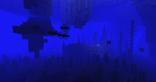 2026-05-05_20.04.04.png