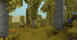 1000022503.png