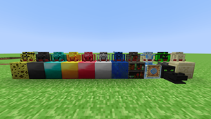 Traveler's Backpack.png