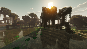 Swamp