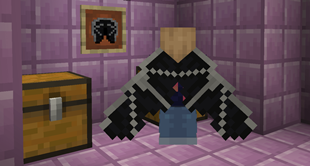 EnderDragonElytra.png