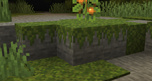 MossCarpetOverhang.png