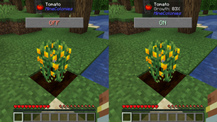 showcase.png