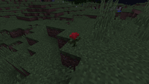 Poppy to rose (wither rose adapted) in 1.8 version