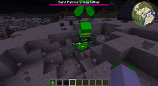 Saint Patrick's Day Wither