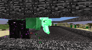 Emerald Wither below half health