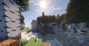 birch forest.png