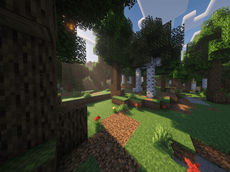 forest 2.png